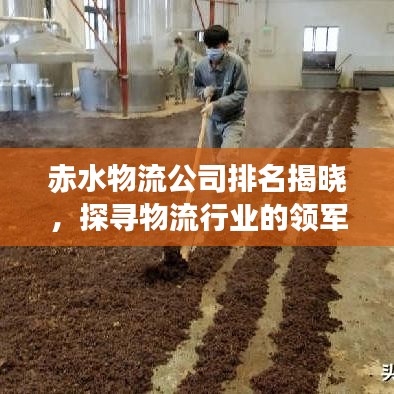 赤水物流公司排名揭晓，探寻物流行业的领军者