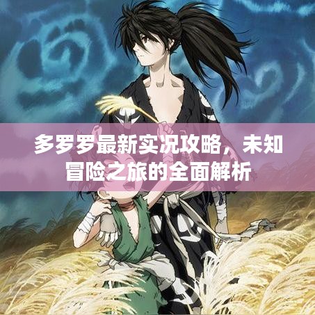多罗罗最新实况攻略，未知冒险之旅的全面解析