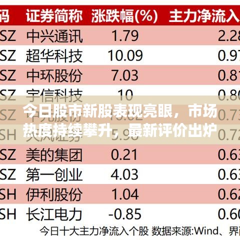 今日股市新股表现亮眼，市场热度持续攀升，最新评价出炉