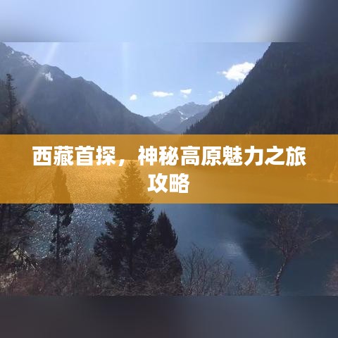 西藏首探，神秘高原魅力之旅攻略