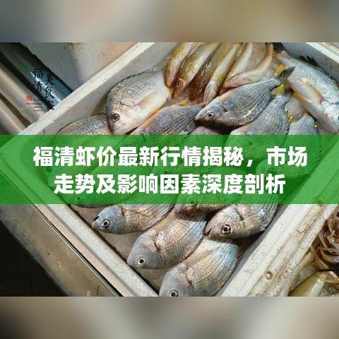 福清虾价最新行情揭秘，市场走势及影响因素深度剖析