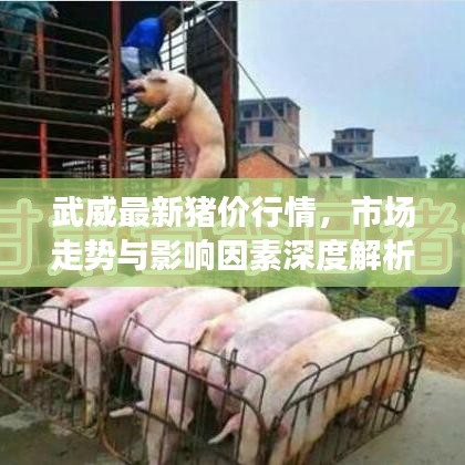 武威最新猪价行情，市场走势与影响因素深度解析