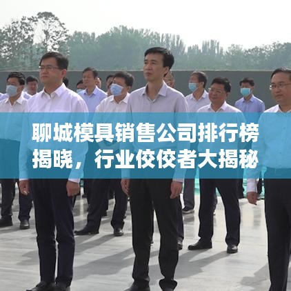 聊城模具销售公司排行榜揭晓，行业佼佼者大揭秘！