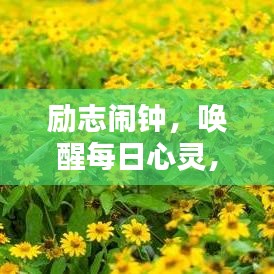 励志闹钟，唤醒每日心灵，语录触动瞬间