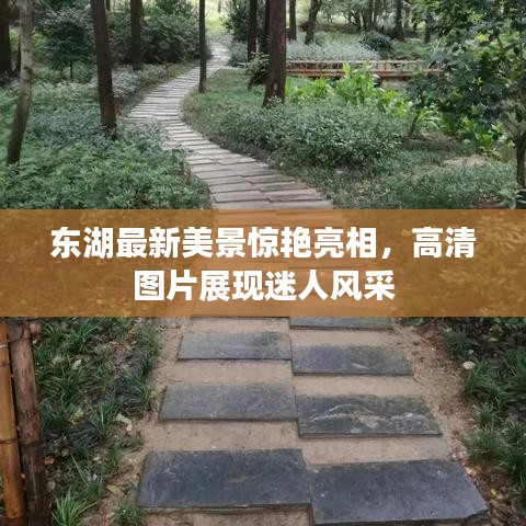 东湖最新美景惊艳亮相，高清图片展现迷人风采