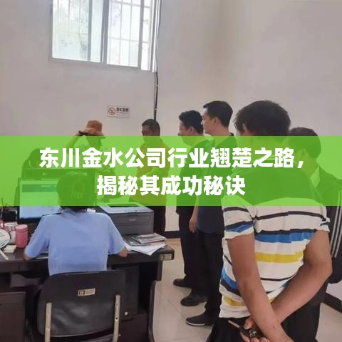 东川金水公司行业翘楚之路，揭秘其成功秘诀
