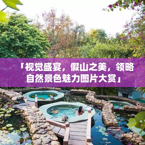 「视觉盛宴，假山之美，领略自然景色魅力图片大赏」