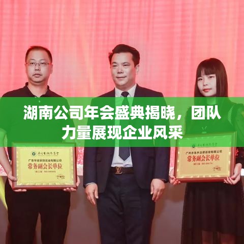 湖南公司年会盛典揭晓，团队力量展现企业风采