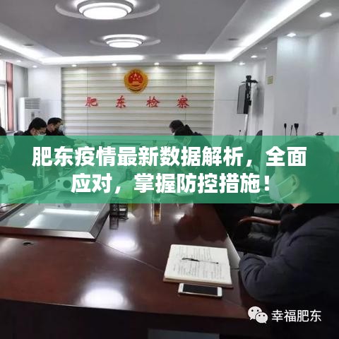 肥东疫情最新数据解析，全面应对，掌握防控措施！
