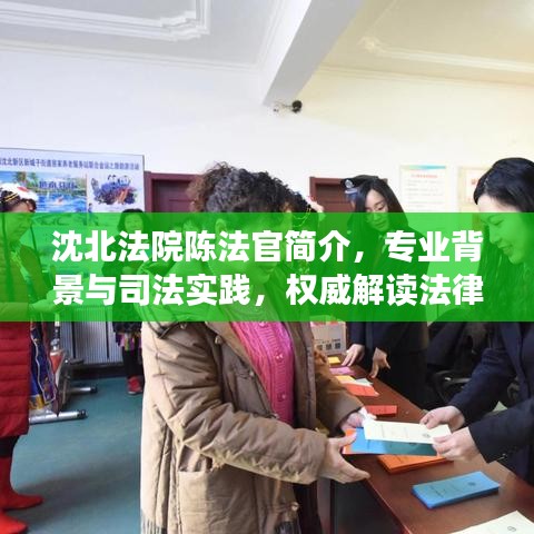 沈北法院陈法官简介，专业背景与司法实践，权威解读法律之道