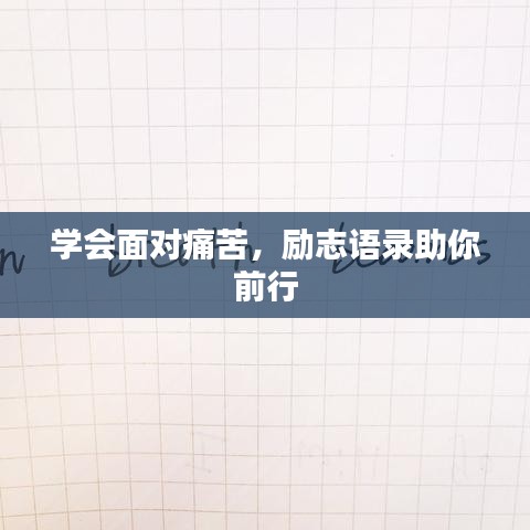 2025年5月16日 第8页
