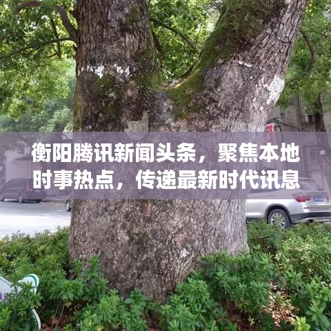 2025年5月 第41页