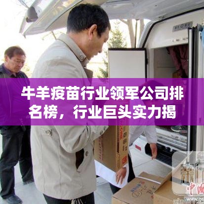 牛羊疫苗行业领军公司排名榜，行业巨头实力揭秘！