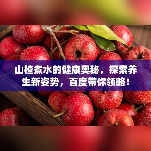 山楂煮水的健康奥秘，探索养生新姿势，百度带你领略！