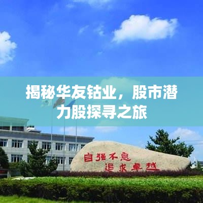 揭秘华友钴业，股市潜力股探寻之旅