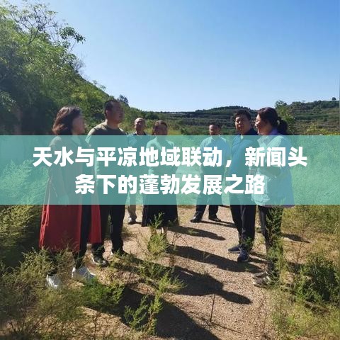 天水与平凉地域联动，新闻头条下的蓬勃发展之路
