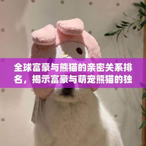全球富豪与熊猫的亲密关系排名，揭示富豪与萌宠熊猫的独特情缘