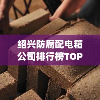 绍兴防腐配电箱公司排行榜TOP榜及行业深度洞察