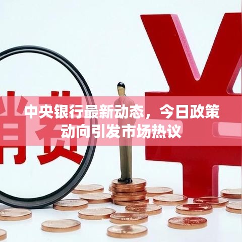 中央银行最新动态，今日政策动向引发市场热议