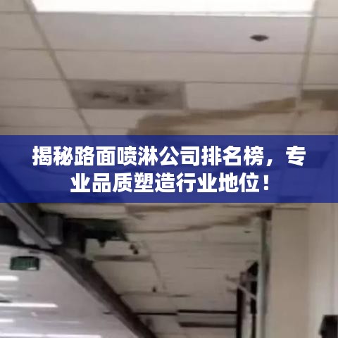 揭秘路面喷淋公司排名榜，专业品质塑造行业地位！