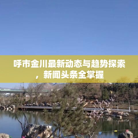 呼市金川最新动态与趋势探索，新闻头条全掌握