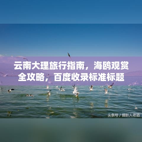 2025年5月17日 第30页