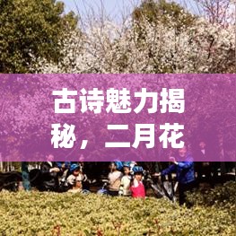 古诗魅力揭秘，二月花诗意与百度奇妙交融