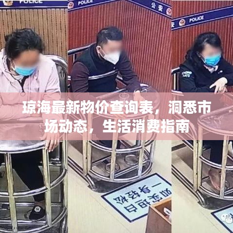 琼海最新物价查询表，洞悉市场动态，生活消费指南