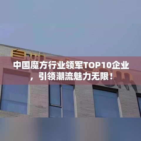 中国魔方行业领军TOP10企业，引领潮流魅力无限！