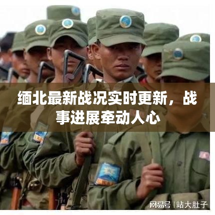 缅北最新战况实时更新，战事进展牵动人心