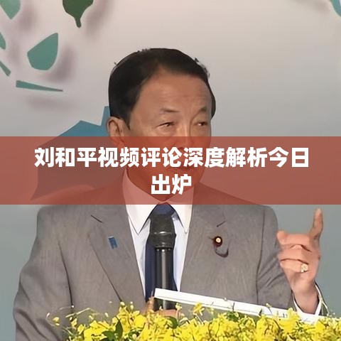 刘和平视频评论深度解析今日出炉
