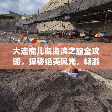 大连鹿儿岛海滨之旅全攻略，探秘绝美风光，畅游海岸线！