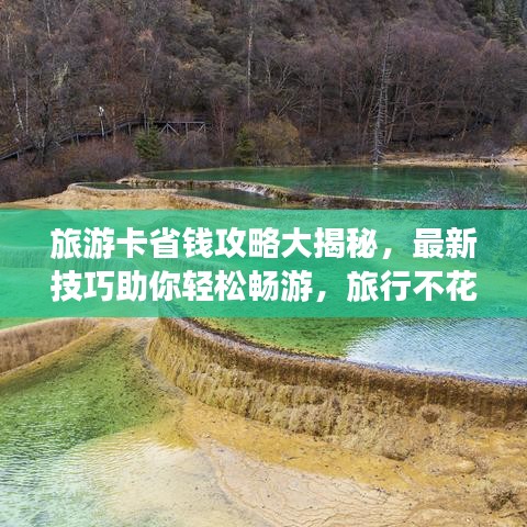 旅游卡省钱攻略大揭秘，最新技巧助你轻松畅游，旅行不花冤枉钱！
