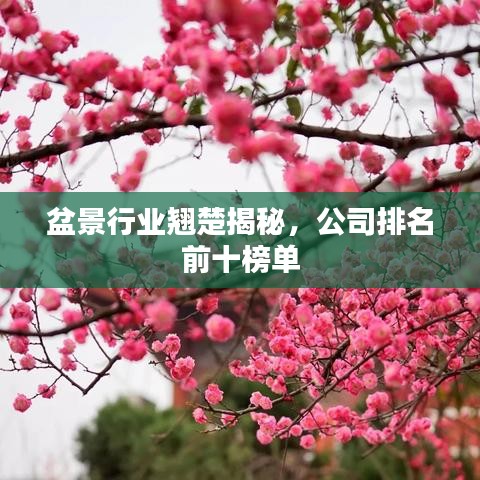 盆景行业翘楚揭秘，公司排名前十榜单