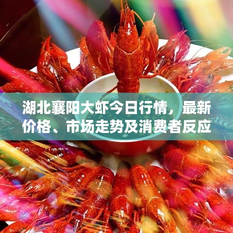 湖北襄阳大虾今日行情，最新价格、市场走势及消费者反应一网打尽！