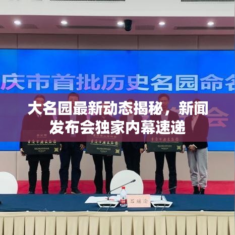 大名园最新动态揭秘，新闻发布会独家内幕速递