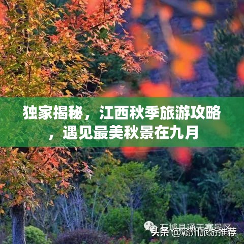 独家揭秘，江西秋季旅游攻略，遇见最美秋景在九月