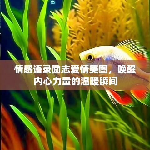 情感语录励志爱情美图，唤醒内心力量的温暖瞬间