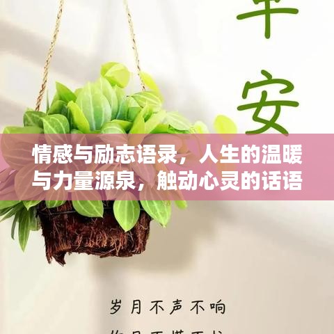 情感与励志语录，人生的温暖与力量源泉，触动心灵的话语