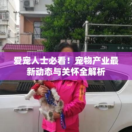 爱宠人士必看！宠物产业最新动态与关怀全解析