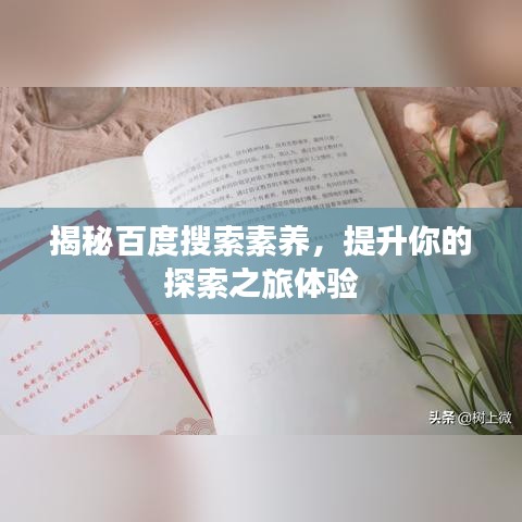 揭秘百度搜索素养，提升你的探索之旅体验