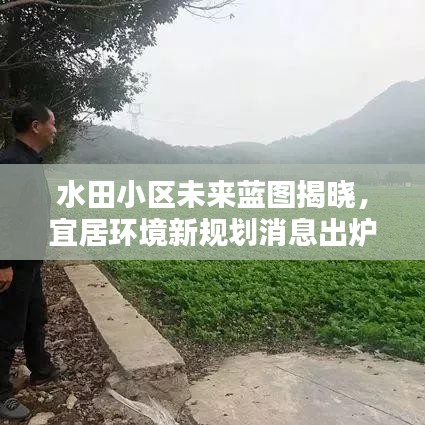 水田小区未来蓝图揭晓，宜居环境新规划消息出炉！