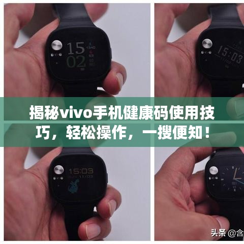 揭秘vivo手机健康码使用技巧，轻松操作，一搜便知！
