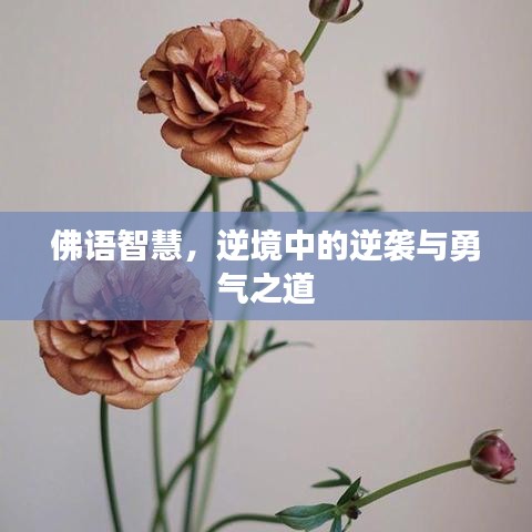 佛语智慧，逆境中的逆袭与勇气之道