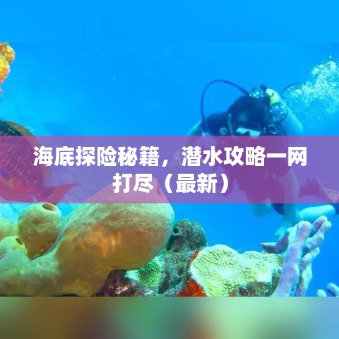海底探险秘籍，潜水攻略一网打尽（最新）