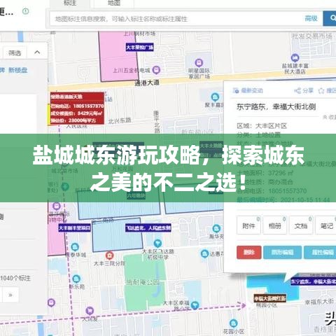 盐城城东游玩攻略，探索城东之美的不二之选！