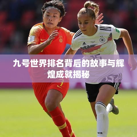 九号世界排名背后的故事与辉煌成就揭秘