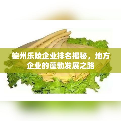 德州乐陵企业排名揭秘，地方企业的蓬勃发展之路