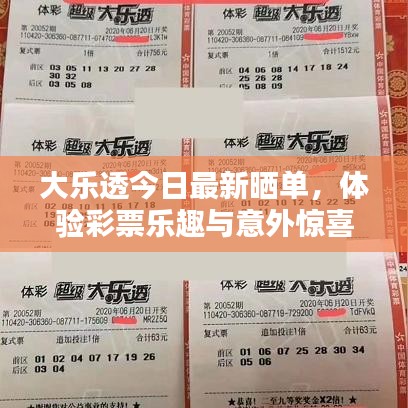 大乐透今日最新晒单，体验彩票乐趣与意外惊喜
