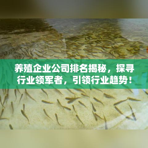 养殖企业公司排名揭秘，探寻行业领军者，引领行业趋势！